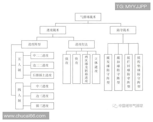 成都排球队在联赛中的速度优势与战术分析探讨