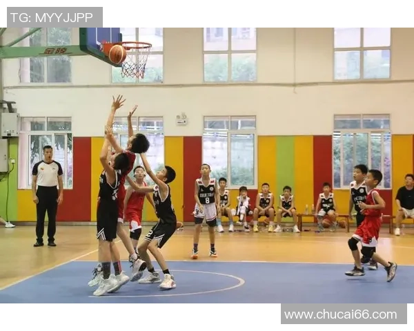 重庆篮球队的速度革命探讨与未来发展展望 重庆篮球队的速度革命探讨与未来发展展望