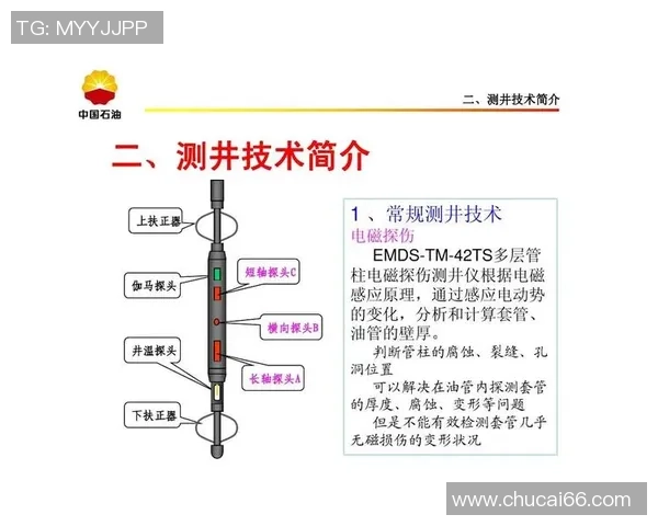 重庆羽毛球队在锦标赛中的技术表现分析与点评 重庆羽毛球队在锦标赛中的技术表现分析与点评