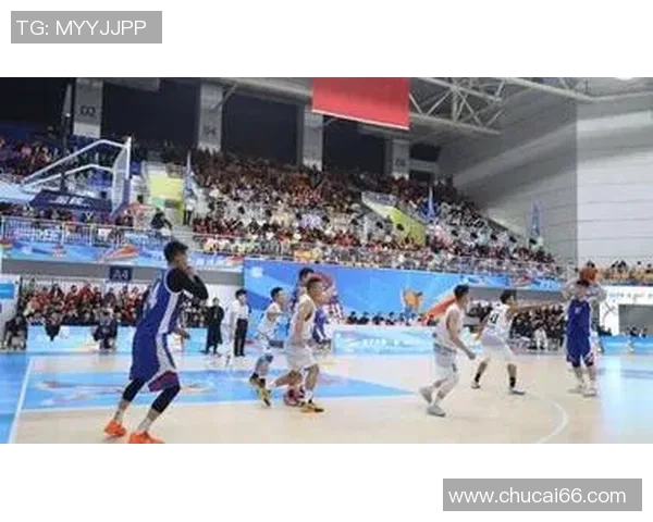 周丽独家分享篮球心得与技巧助你提升球技和战术理解