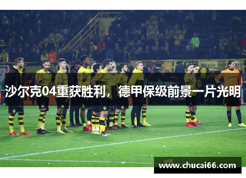 沙尔克04重获胜利，德甲保级前景一片光明